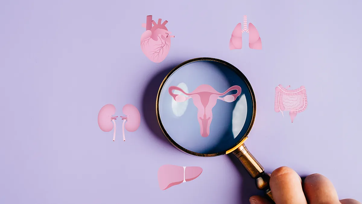 Adrawing of ovaries under a magnifying glass